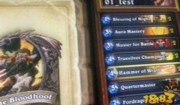 新世界卡牌爆料大全最新,揭秘神秘卡牌，探索未知领域